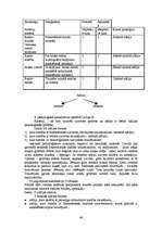 Konspekts 'Logopēdija', 44.