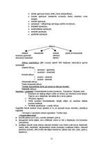 Konspekts 'Logopēdija', 51.