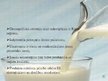 Prezentācija '"Lāse" produktu tirgus izstrāde Rīgas piena kombinātā', 7.