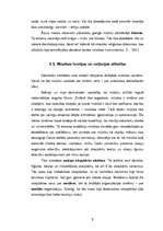 Referāts 'Rietumeiropas viduslaiku kultūra. Filosofija. Mūzika', 8.