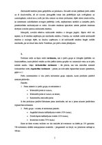 Konspekts 'Salīdzinoša reklāma, sortiments, mazumtirdzniecība', 2.