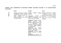 Konspekts 'Latvijas Republikas normatīvie akti', 22.