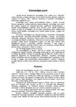 Referāts 'Vistveidīgie putni', 1.