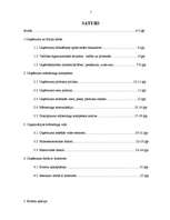 Prakses atskaite 'Prakses atskaite AS "Cēsu alus"', 2.