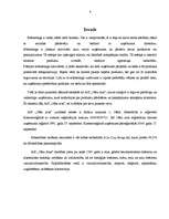 Prakses atskaite 'Prakses atskaite AS "Cēsu alus"', 4.