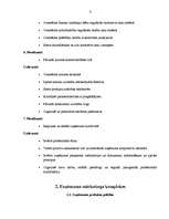 Prakses atskaite 'Prakses atskaite AS "Cēsu alus"', 9.