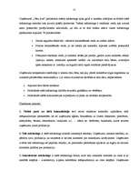 Prakses atskaite 'Prakses atskaite AS "Cēsu alus"', 15.