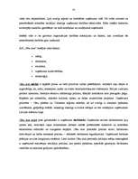 Prakses atskaite 'Prakses atskaite AS "Cēsu alus"', 20.