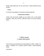 Prakses atskaite 'Prakses atskaite AS "Cēsu alus"', 25.