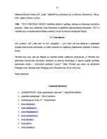 Prakses atskaite 'Prakses atskaite AS "Cēsu alus"', 32.