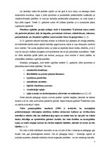 Referāts 'Pedagoga misija 21.gadsimtā', 2.