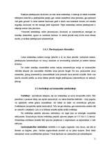 Referāts 'Preiļu rajona Stabulnieku ciemata kanalizācijas sistēmas rekonstrukcija', 13.