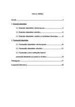 Referāts 'Kas ir etniskā un nacionālā identitāte?', 2.