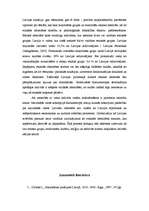 Referāts 'Kas ir etniskā un nacionālā identitāte?', 17.