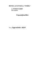 Referāts 'Apgrozāmie aktīvi', 9.