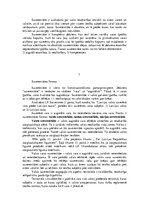 Referāts 'Suverenitāte: realitātes robeža Satversmē un dzīvē', 5.