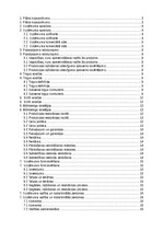 Biznesa plāns 'SIA “Greater than one” 
Biznesa plāns', 2.