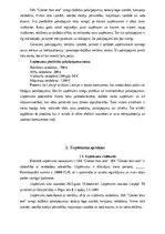 Biznesa plāns 'SIA “Greater than one” 
Biznesa plāns', 4.