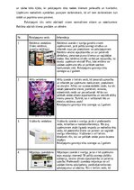 Biznesa plāns 'SIA “Greater than one” 
Biznesa plāns', 7.