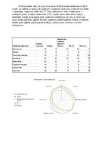 Biznesa plāns 'SIA “Greater than one” 
Biznesa plāns', 11.