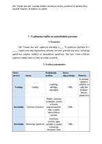 Biznesa plāns 'SIA “Greater than one” 
Biznesa plāns', 16.