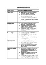 Biznesa plāns 'SIA “Greater than one” 
Biznesa plāns', 19.