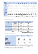 Biznesa plāns 'SIA “Greater than one” 
Biznesa plāns', 21.