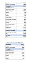 Biznesa plāns 'SIA “Greater than one” 
Biznesa plāns', 27.