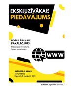 Biznesa plāns 'SIA “Greater than one” 
Biznesa plāns', 31.