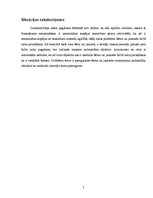 Referāts 'Mācību projekts', 3.