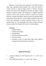 Referāts 'Uzņēmuma raksturojums, mērķi, misija', 19.