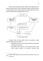 Diplomdarbs 'Hipotekārā kredīta pieejamība Baltijas valstīs', 19.