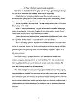 Referāts 'Mīklas mīcītāji un iekārtu pielietojums picas ražošanā', 5.