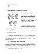 Referāts 'Mīklas mīcītāji un iekārtu pielietojums picas ražošanā', 8.