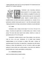 Referāts 'Mīklas mīcītāji un iekārtu pielietojums picas ražošanā', 10.