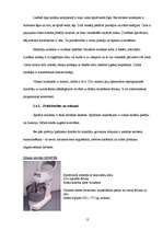 Referāts 'Mīklas mīcītāji un iekārtu pielietojums picas ražošanā', 12.