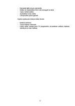 Referāts 'Mīklas mīcītāji un iekārtu pielietojums picas ražošanā', 21.