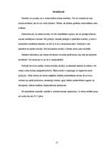 Referāts 'Mīklas mīcītāji un iekārtu pielietojums picas ražošanā', 22.