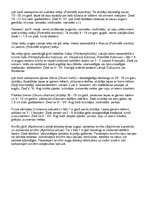 Konspekts 'Rožu dzimta', 2.