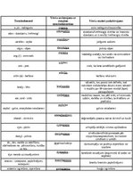 Konspekts 'Latīņu terminelementi', 1.