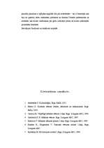 Referāts 'Piramīdas. Gīzas piramīdas', 22.