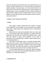 Konspekts 'Adipozie audi', 3.