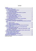 Diplomdarbs 'Nekustamā īpašuma pārvaldīšanas un apsaimniekošanas procesa izvēles iespējas Rēz', 3.