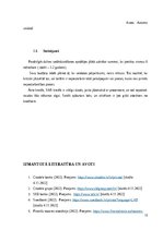 Referāts 'Bankas mājas lapu analīze', 13.