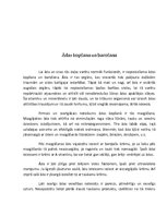 Referāts 'Segaudu orgānu sistēma', 6.