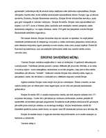 Referāts 'Eiropas Savienības galvenie mērķi un to sasniegšanas līdzekļi', 5.