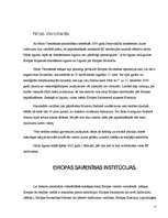 Referāts 'Eiropas Savienības galvenie mērķi un to sasniegšanas līdzekļi', 17.