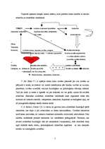Eseja 'Mīlestības neirofizioloģija', 3.