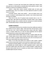 Eseja 'Informācijas komunikācijas problēmas uzņēmumā', 2.