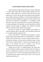 Referāts 'Mantojuma tiesības un mantotspēja', 14.